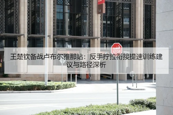 王楚钦备战卢布尔雅那站：反手拧拉衔接提速训练建议与路径深析